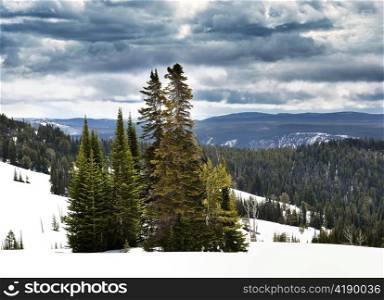 high mountains landscape with trees, snow and dramatic sky