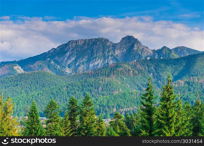 high mountains of the Tatra mountains, surrounded by a coniferou. high mountains of the Tatra mountains, surrounded by a coniferous forest, a beautiful landscape