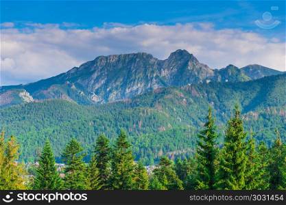 high mountains of the Tatra mountains, surrounded by a coniferou. high mountains of the Tatra mountains, surrounded by a coniferous forest, a beautiful landscape