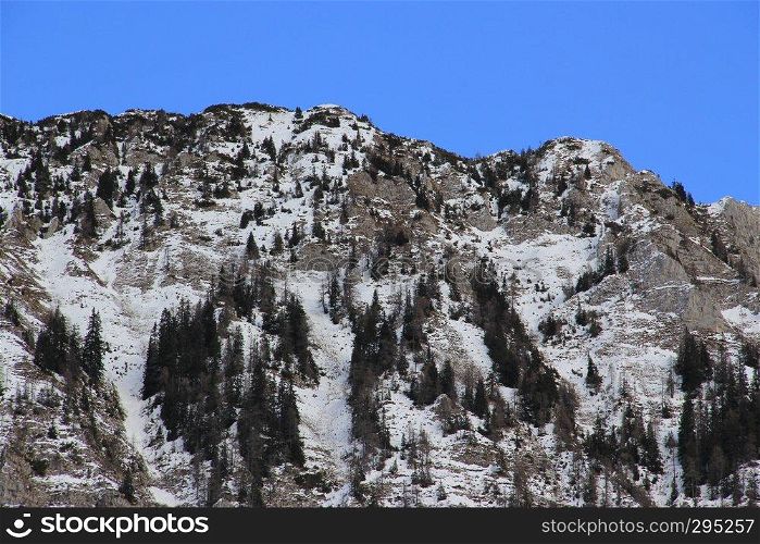 High mountains with sharp rocks and spruce trees