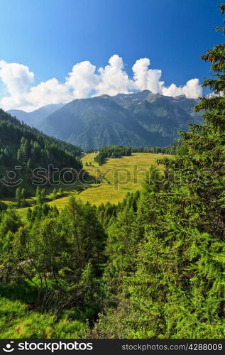 high Pejo valley on summer, Trentino, Italy