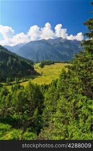 high Pejo valley on summer, Trentino, Italy