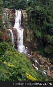 High Ramboda waterfall amnd green grass, Sri Lanka