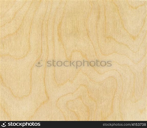 high resolution birch wood texture