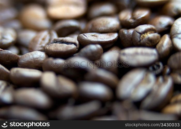 High resolution file coffee beans close-up macro shot. coffee beans close-up macro