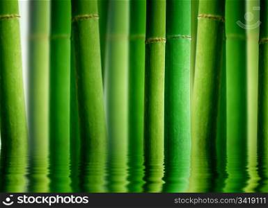 High resolution graphic of a bamboo forest with water reflection.