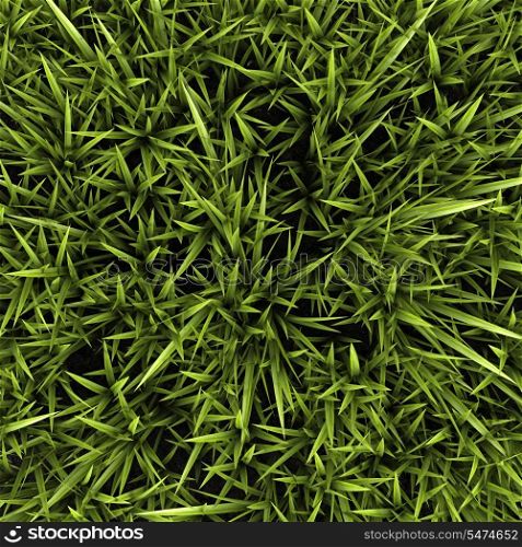 high resolution green grass background