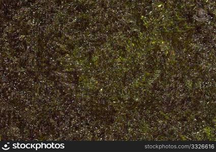 high resolution seaweed nori texture background