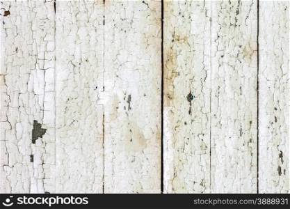 High resolution white wood background With Natural Patterns. Vintage white background wood wall.