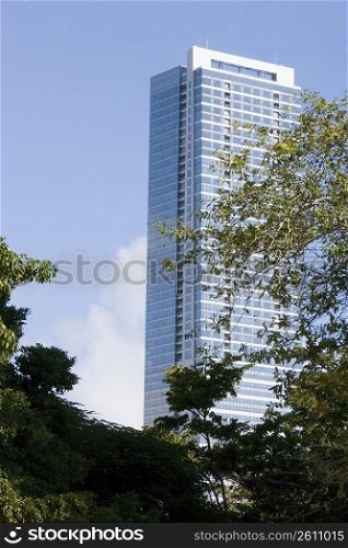 High Rise Building and trees in Miami, Florida, USA