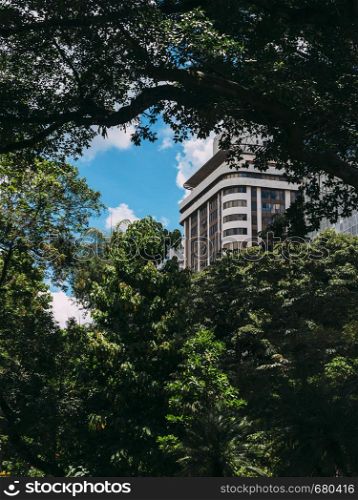 High rise residential building obscured by lush tropical rainforest vegetation - ideal for a book cover as plenty of copy space. Captured in Belo Horizonte, Brazil. High rise residential building obscured by lush tropical rainforest vegetation