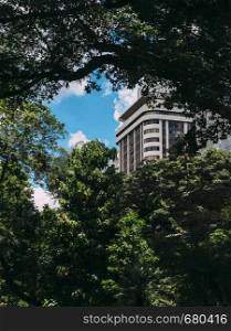 High rise residential building obscured by lush tropical rainforest vegetation - ideal for a book cover as plenty of copy space. Captured in Belo Horizonte, Brazil. High rise residential building obscured by lush tropical rainforest vegetation