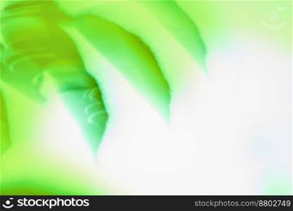 High speed motion blurred green nature. Abstract natural green motion blurred. Motion blurred sunny abstract green nature background