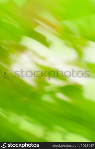 High speed motion blurred green nature. Abstract natural green motion blurred bio backgrounds with space for lettering.. Motion blurred sunny abstract green nature background.