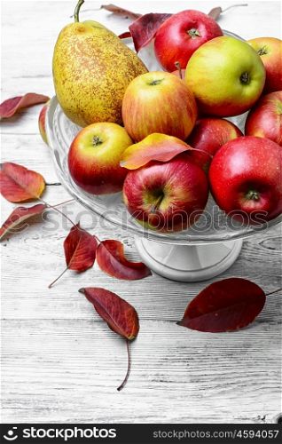 High vase with apples. Harvest of juicy autumn apples in a vase for fruits