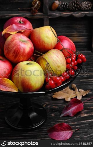 High vase with apples. Harvest of juicy autumn apples in vase for fruits