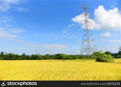High voltage post, High voltage tower blue sky background, Electricity poles and electric power transmission lines against countryside with yellow rice field