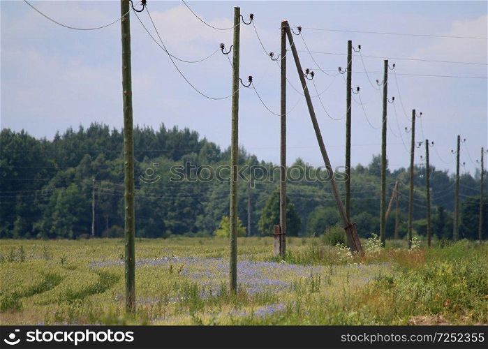 High-voltage power line on wooden poles glade near the forest. Electricity poles in field. Grass, forest and blue sky background, Latvia.