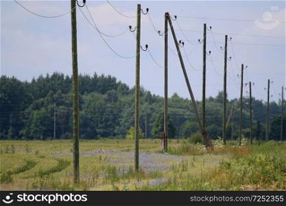 High-voltage power line on wooden poles glade near the forest. Electricity poles in field. Grass, forest and blue sky background, Latvia.