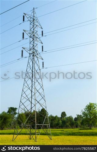 high voltage pylons in rice fields. All rice growing. In the spring.