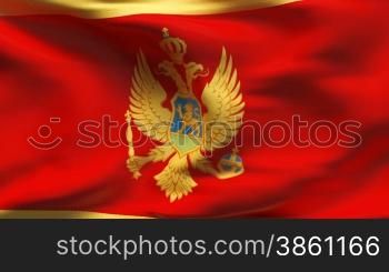 Highly detailed textured flag with wrinkles and seams