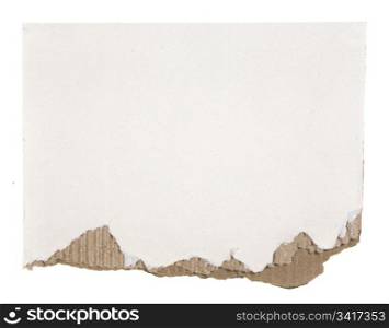 Highly Detailed Torn Cardboard Isolated on White. Ready for your message.