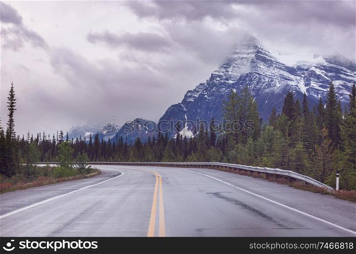 Highway in Canadian forest at summer season