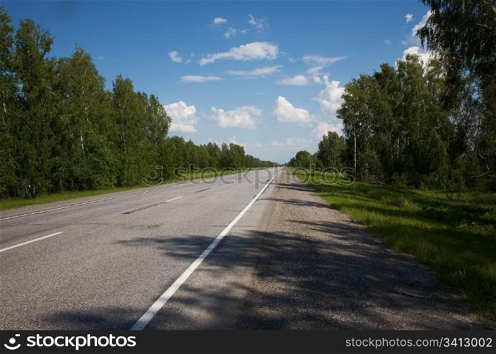 Highway in the forest. Novosibirsk area, June 2007