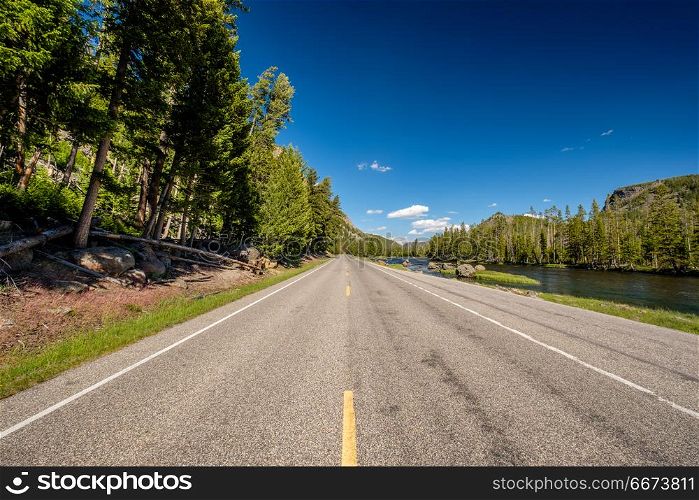 Highway in Yellowstone National Park. Highway in Yellowstone National Park, Wyoming, USA
