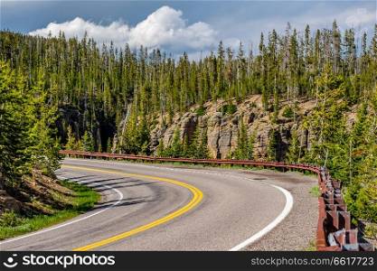 Highway in Yellowstone National Park, Wyoming, USA