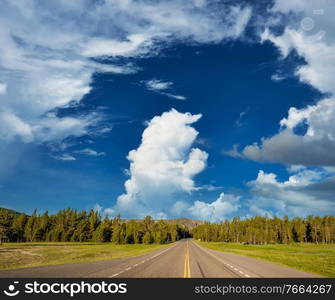 Highway in Yellowstone National Park, Wyoming, USA