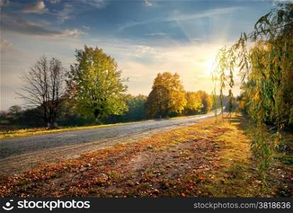 Highway through the beautiful autumn forest and bright sun