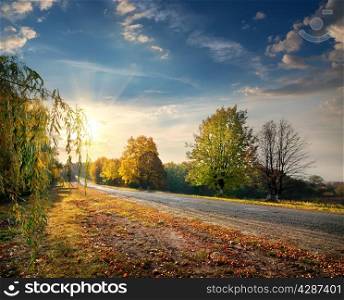 Highway through the beautiful autumn forest and bright sun