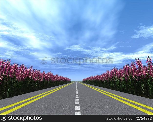 Highway with a marking with blossoming flowers on a roadside. Brightly blue, not much cloudy sky
