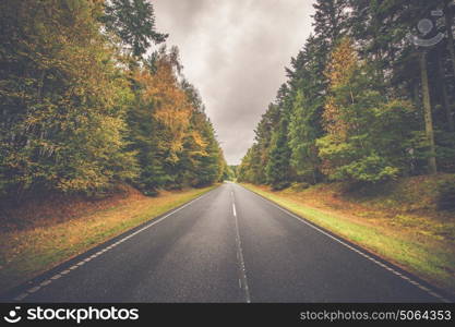 Highway with colorful trees by the road in autumn