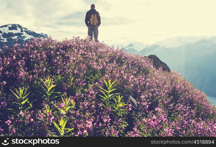 Hike in Alaska at summertime