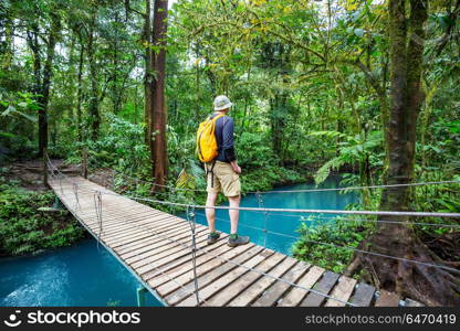 Hike in Costa Rica. Hiking in green tropical jungle, Costa Rica, Central America