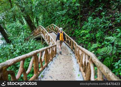Hike in Costa Rica. Hiking in green tropical jungle, Costa Rica, Central America
