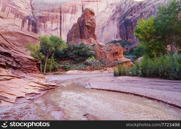 Hike in Coyote gulch, Grand Staircase-Escalante National Monument, Utah, United States