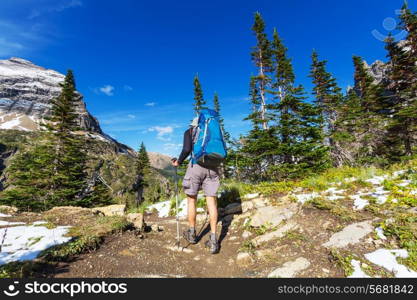 Hike in Glacier National Park, Montana