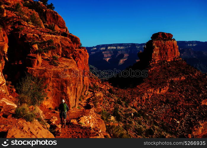 Hike in Grand Canyon National Park