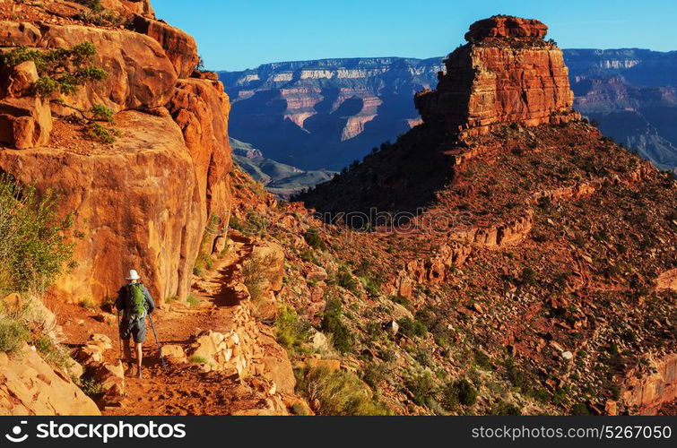 Hike in Grand Canyon National Park