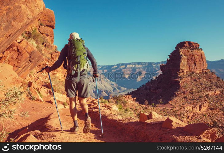 Hike in Grand Canyon National Park