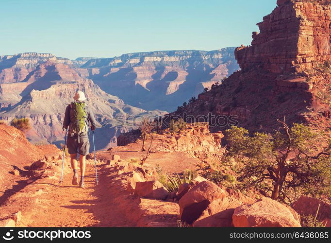 Hike in Grand Canyon National Park