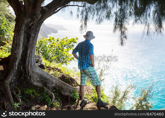 Hike in Hawaii. Hiker on the trail in green jungle, Hawaii, USA