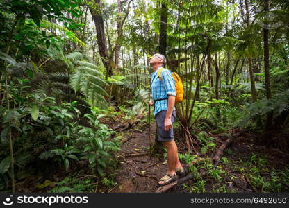 Hike in Hawaii. Hiker on the trail in green jungle, Hawaii, USA