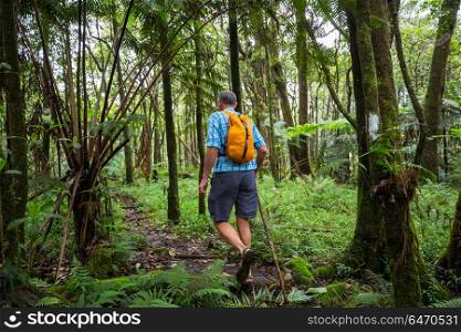 Hike in jungle