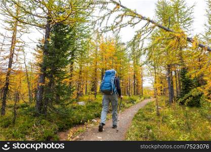 Hike in the autumn mountains. Fall season theme.