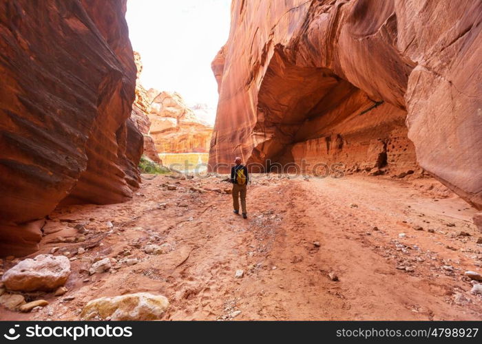 Hike in the Utah mountains