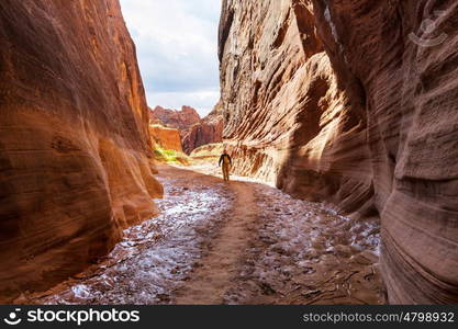 Hike in the Utah mountains